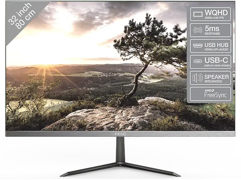 PEAQ PMO S323-IQSC Monitor, 32 Zoll, WQHD, 75Hz, 5ms, 280cd, IPS, 2W Audio, Gun-Metall