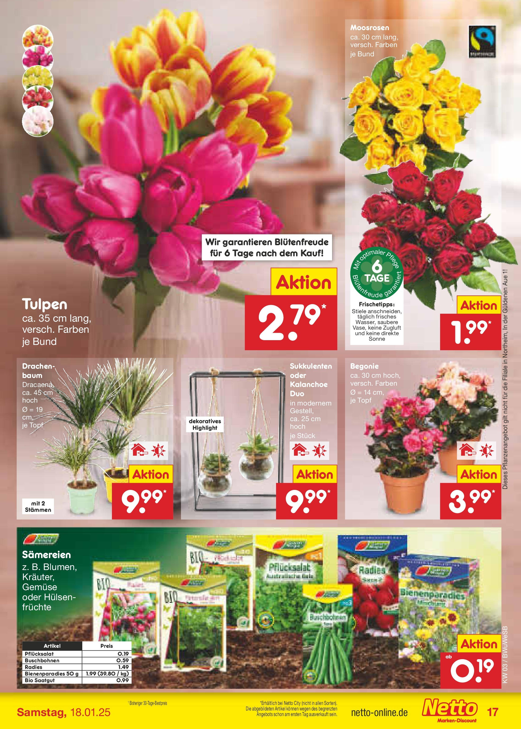 Netto Marken-Discount - Netto: Wochenangebote (ab 12.01.2025) » Angebote | Seite: 25