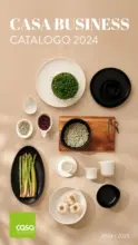 Casa Casa business - al 31.01.2025