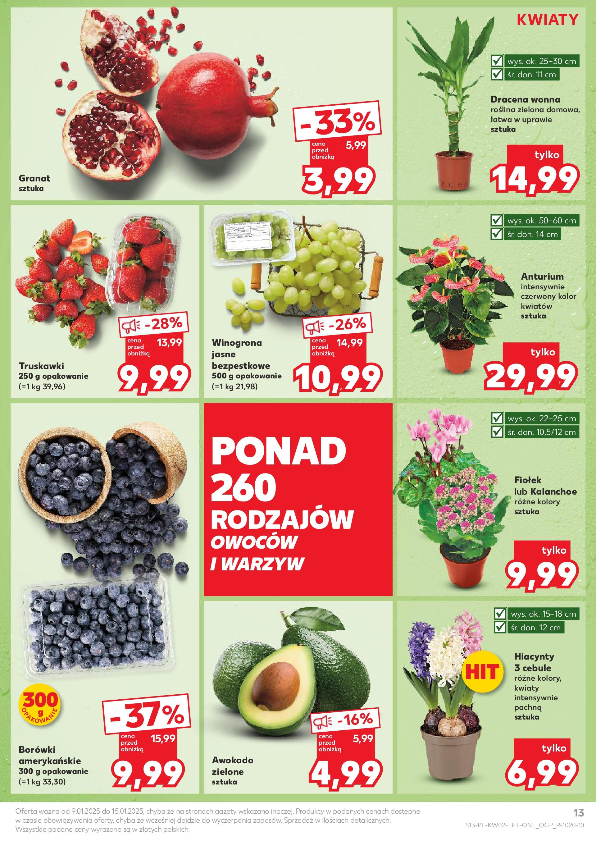 Kaufland gazetka od 09.01.2025 - od jutra PDF | Strona: 13 | Produkty: Kalanchoe, Kwiaty, Awokado, Cebule