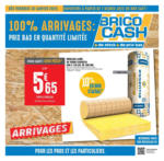 Brico Cash Les arrivages Brico Cash - au 23.01.2025