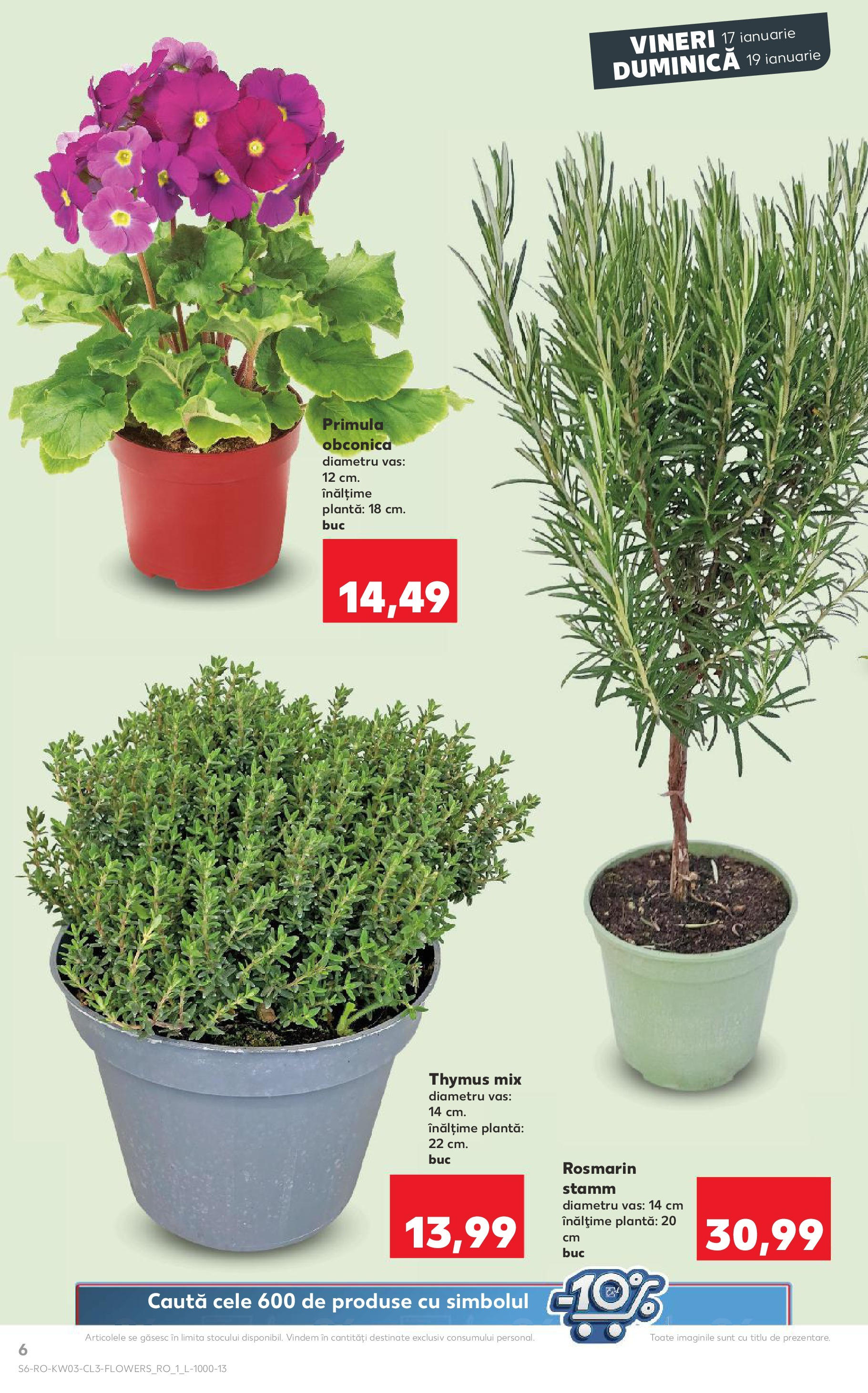 Catalog Kaufland - Bucureşti 17.01.2025 - Revista si Oferta | Pagină: 6