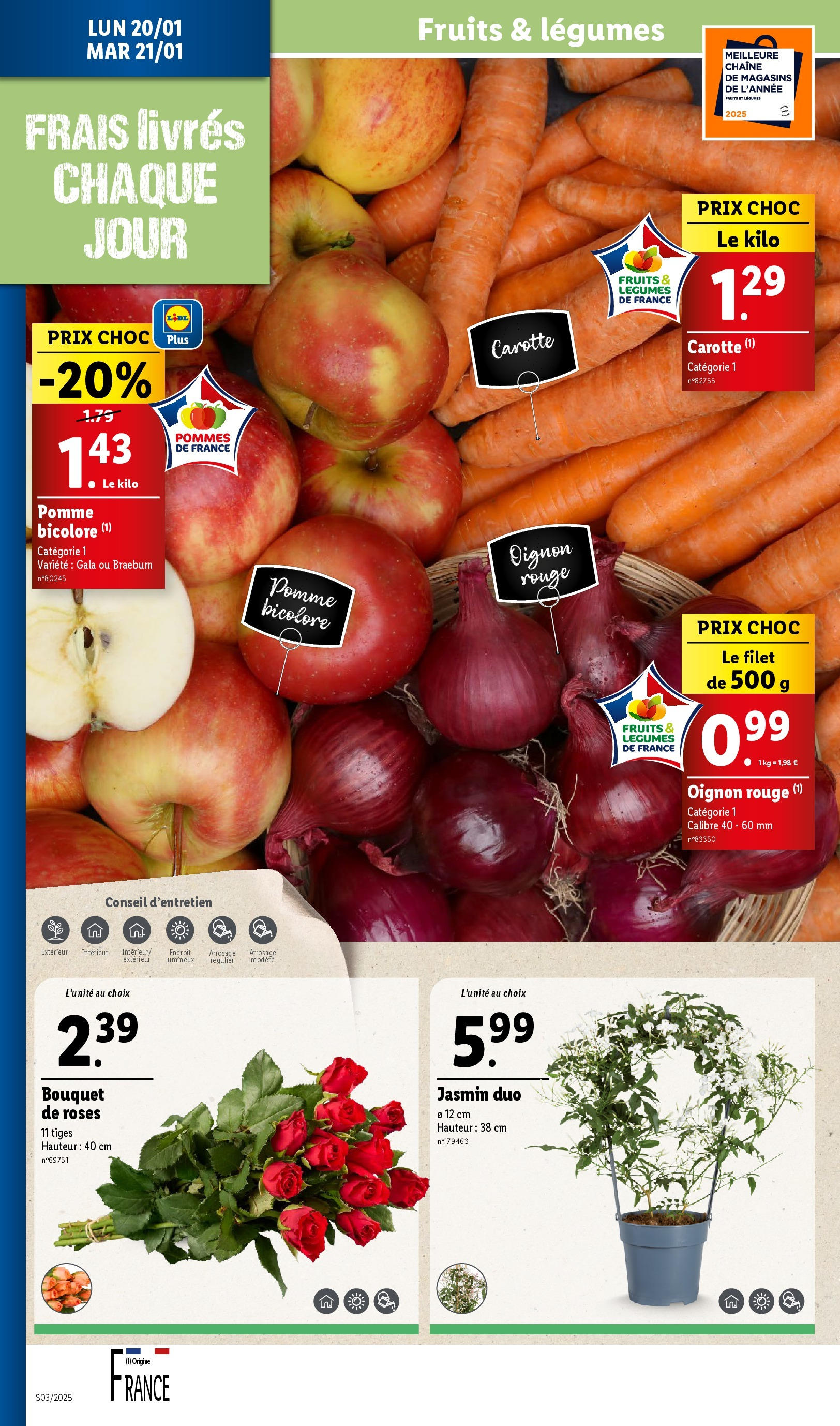 Catalogue LIDL du 14/01/2025 | Promo prospectus en ligne | Page: 32 | Produits: Pomme bicolore, Pomme, Oignon, Carotte