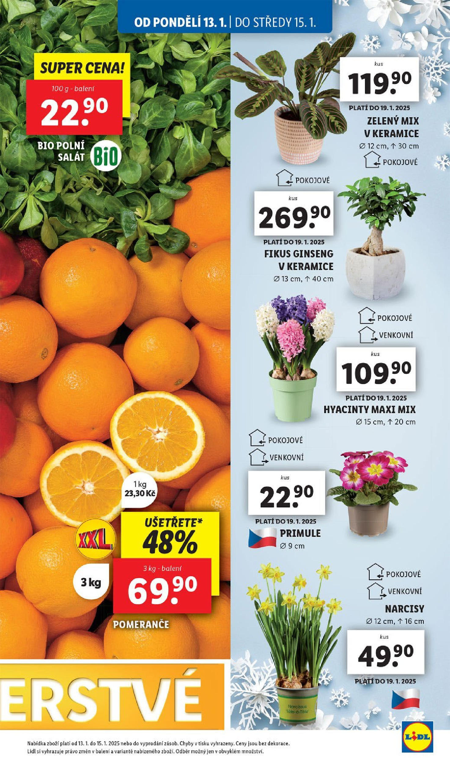 Lidl leták od 14.01.2025 - Nový akční leták | Strana: 15 | Produkty: Pomeranče, Salát