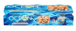 Ocean Риба тон парченца филе различни видове