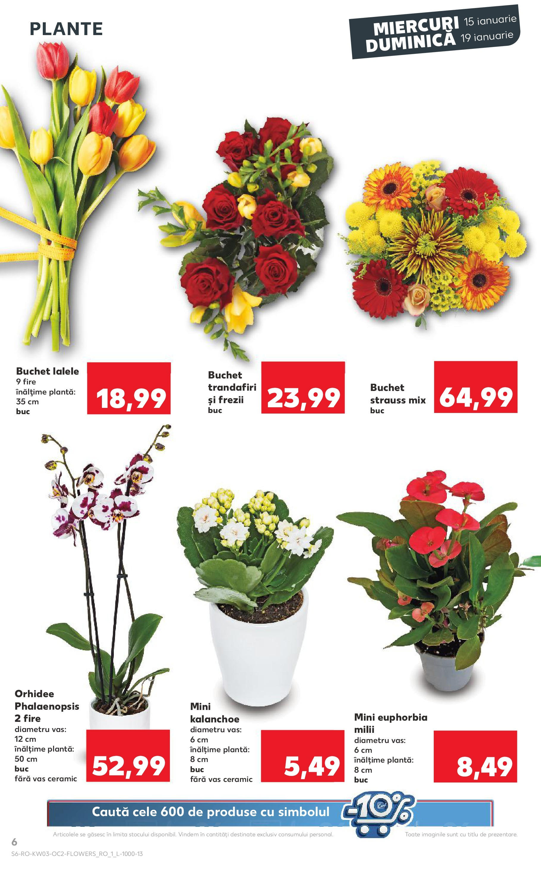 Catalog Kaufland - Bucureşti 15.01.2025 - Revista si Oferta | Pagină: 6 | Produse: Orhidee