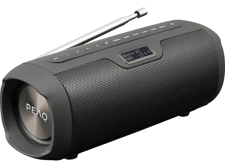 Peaq Bluetooth Lautsprecher PPA 450 DAB+