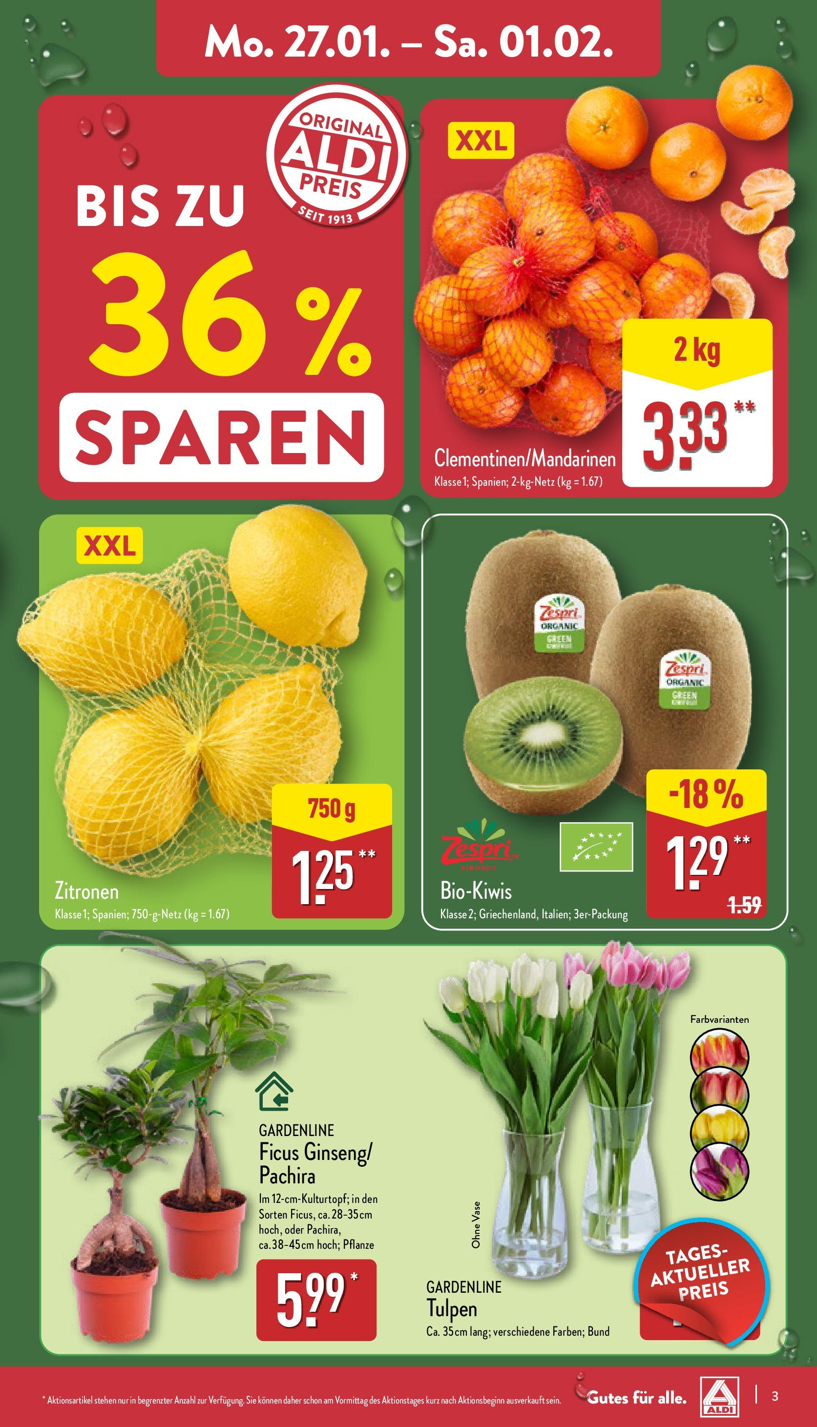 Aldi - ALDI Nord: Wochenangebote (ab 26.01.2025) » Angebote Online | Seite: 3 | Produkte: Vase, Zitronen