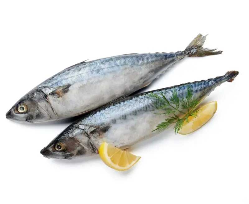 Скумрия Scomber Japonicus замразена