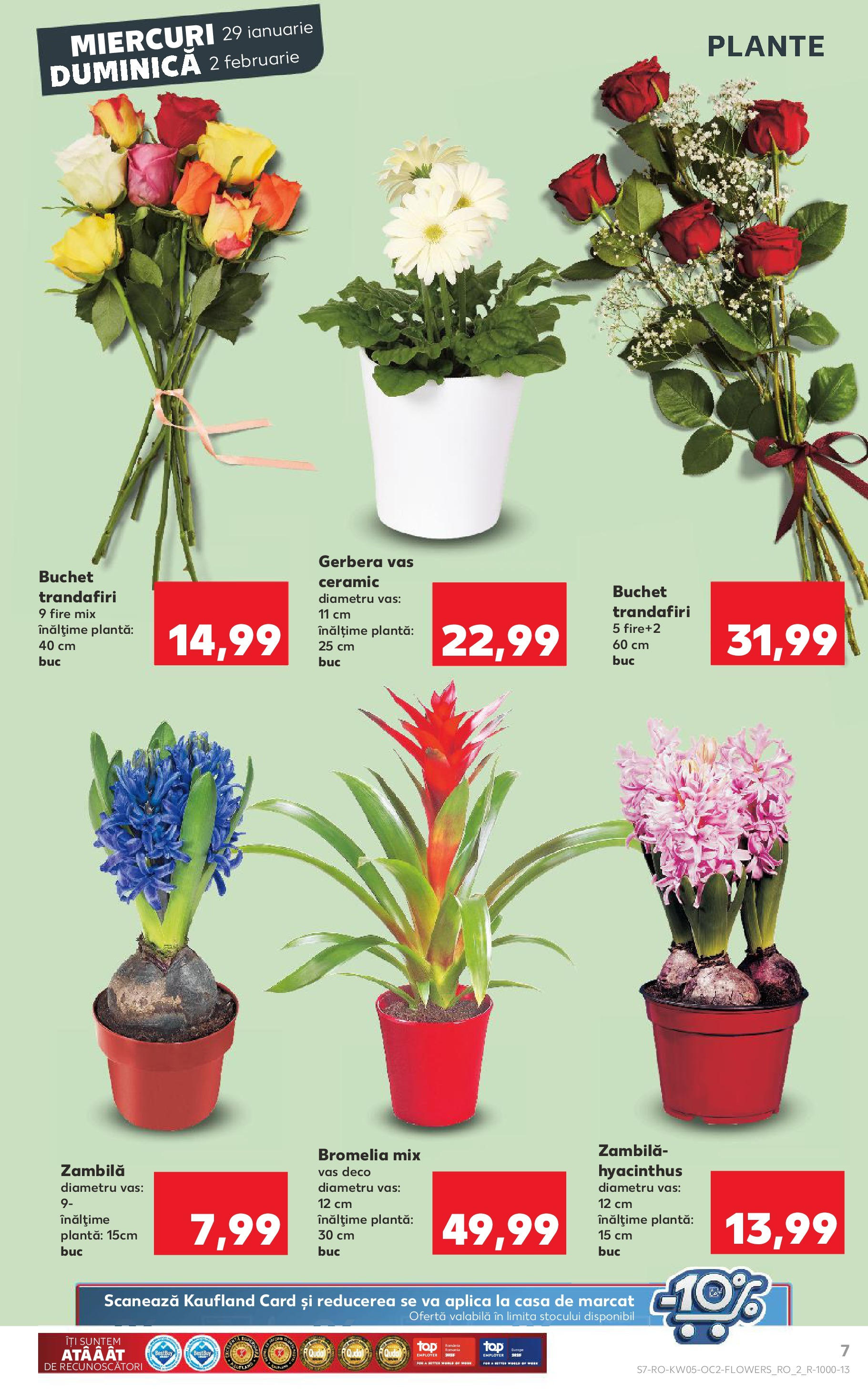 Catalog Kaufland - Deva 29.01.2025 - Revista si Oferta | Pagină: 7 | Produse: Bromelia