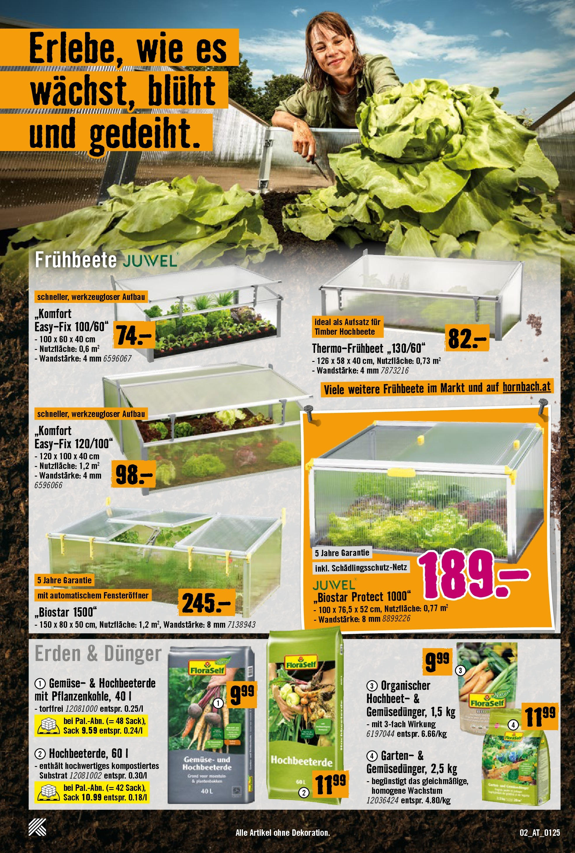 Hornbach Flugblatt von 29.01.2025 - Aktuelle Angebote | Seite: 2 | Produkte: Gemüse