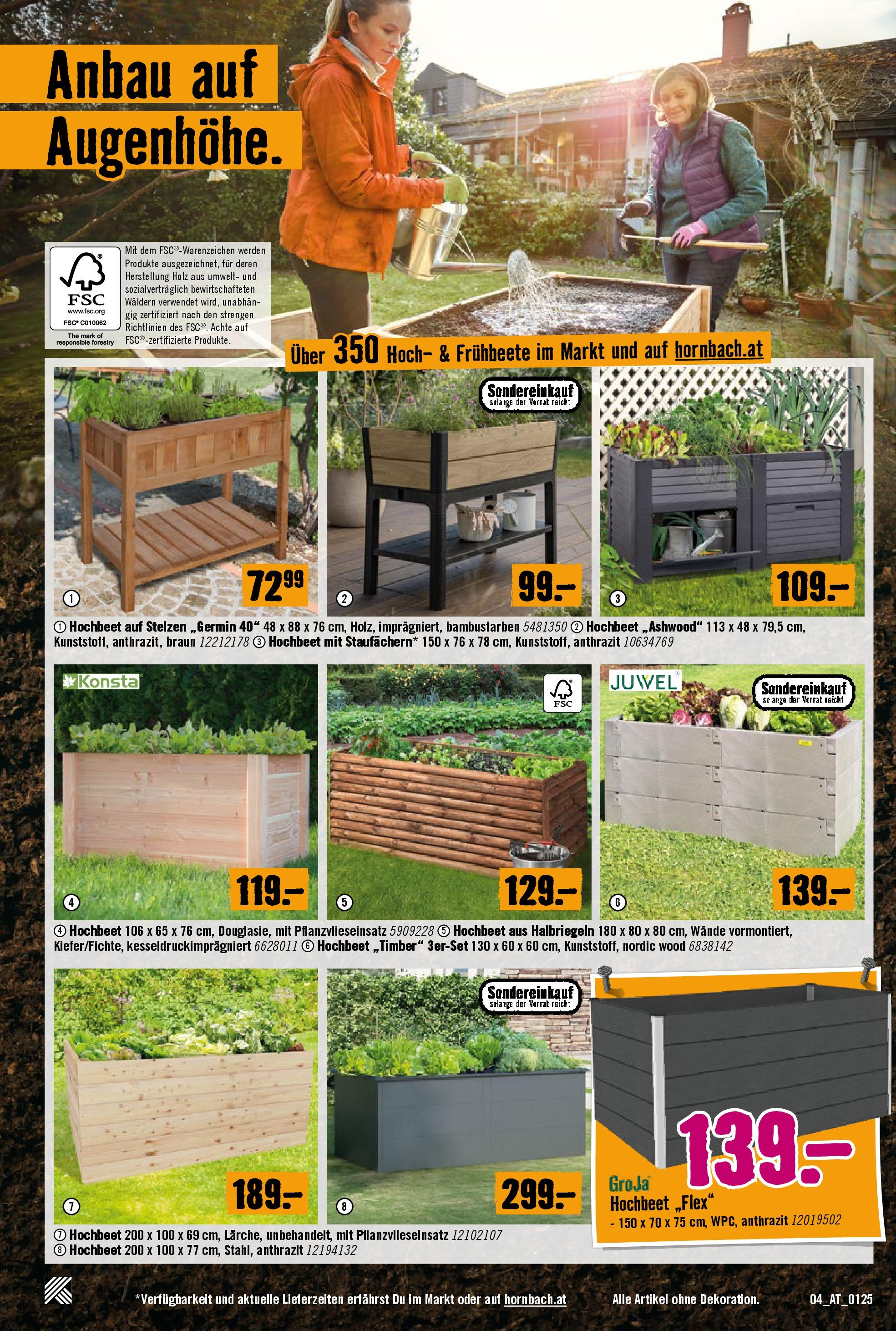 Hornbach Flugblatt von 29.01.2025 - Aktuelle Angebote | Seite: 4