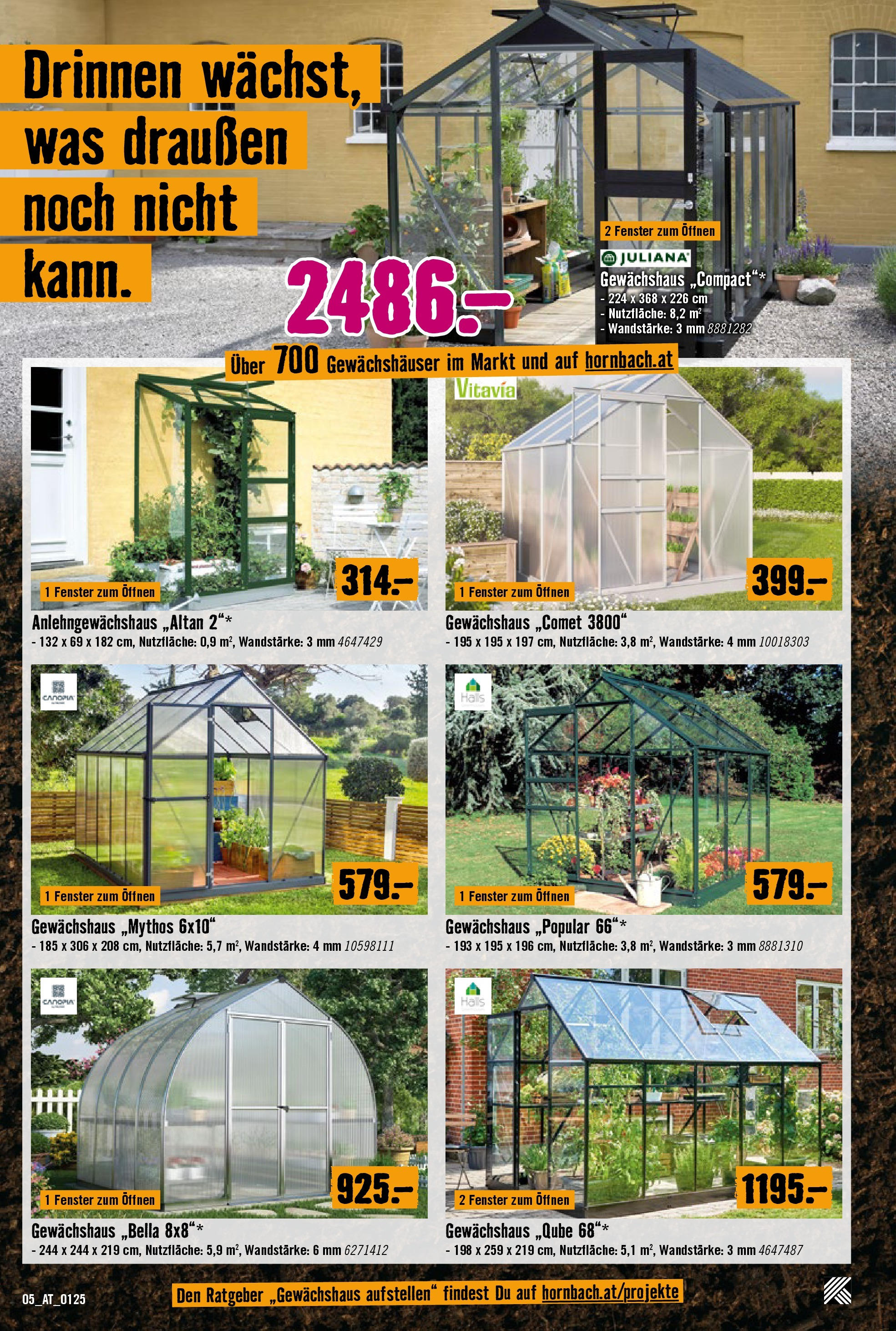 Hornbach Flugblatt von 29.01.2025 - Aktuelle Angebote | Seite: 5