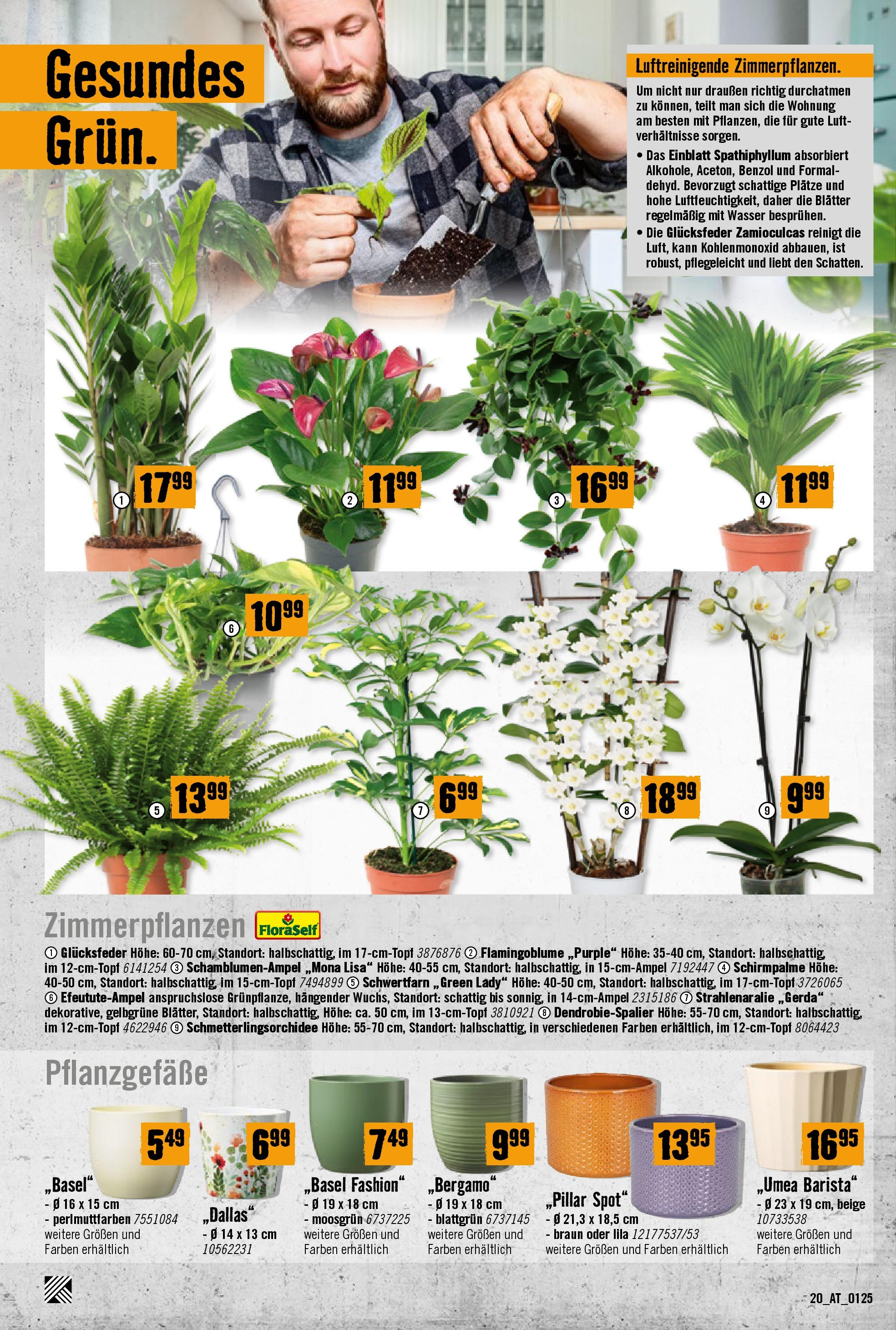 Hornbach Flugblatt von 29.01.2025 - Aktuelle Angebote | Seite: 20 | Produkte: Wasser