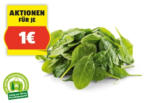 HOFER HOFER MARKTPLATZ BIO-Babyspinat, 125 g