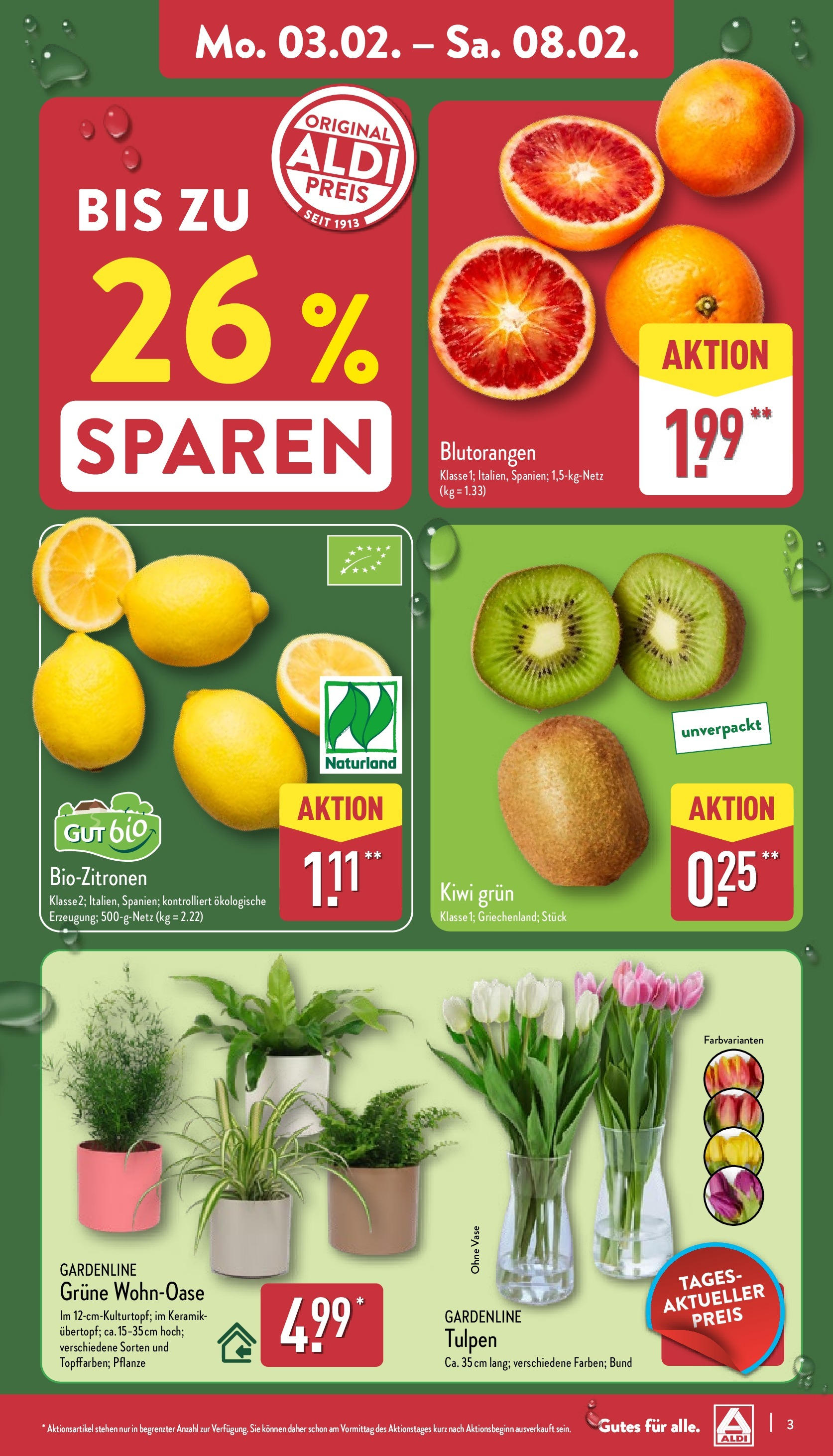 Aldi - ALDI Nord: Wochenangebote (ab 02.02.2025) » Angebote Online | Seite: 3 | Produkte: Vase, Kiwi