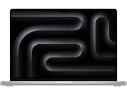 APPLE MacBook Pro Notebook 16,2 Zoll, APPLE M4 Chip (14‑Core CPU mit 10 Performance-Kernen und 4 Effizienz-Kernen, 20‑Core GPU), 48 GB RAM, 512 SSD, macOS, Pro, Silber