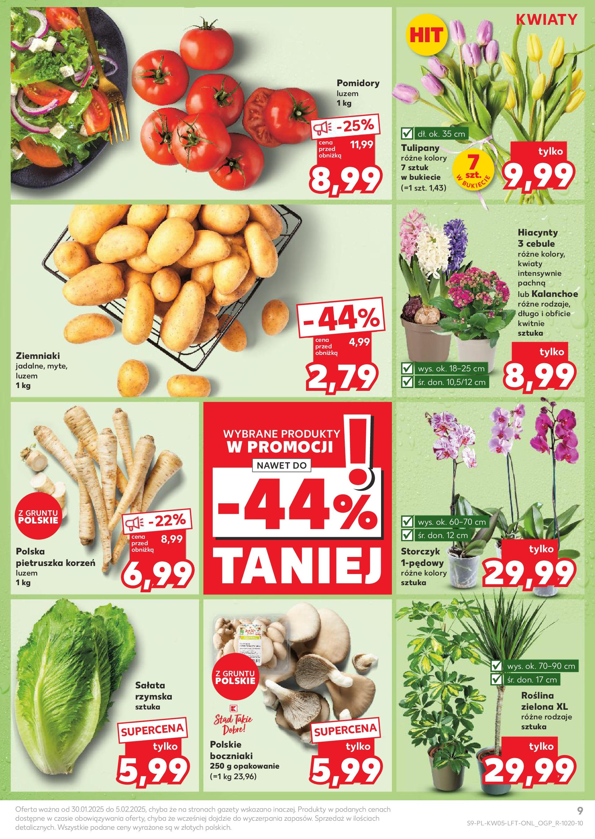 Kaufland - Kaufland Food_ważna do 05.02 od 31.01.2025 - od jutra PDF | Strona: 9 | Produkty: Pietruszka, Boczniaki, Pomidory, Tulipany