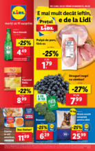 Catalog Lidl până în data de 09.02.2025