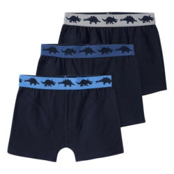 2 Jungen Boxer mit Dinos