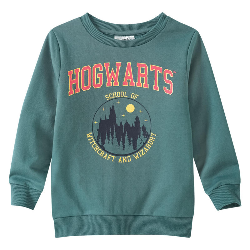 Harry Potter Sweatshirt mit großem Print (Nur online)