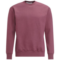 Herren Sweatshirt mit Rundhalsausschnitt (Nur online)