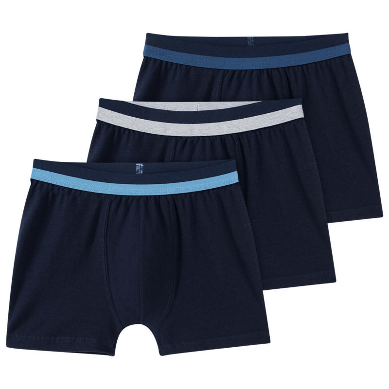 3 Jungen Boxer mit gestreiftem Bund