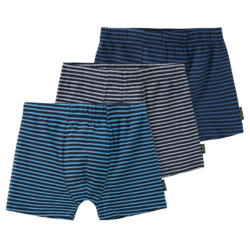 3 Jungen Boxer im Ringel-Look