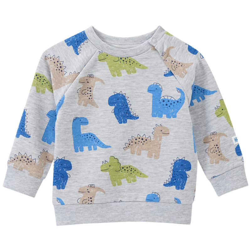 Baby Sweatshirt mit Dinos allover