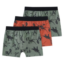 3 Jungen Boxer mit Dino-Allover