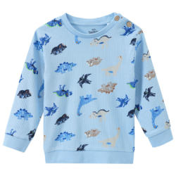 Baby Langarmshirt mit Dinosaurier-Print