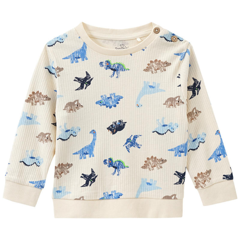 Baby Langarmshirt mit Dinosaurier-Print