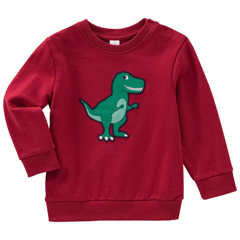 Baby Sweatshirt mit Dino-Applikation (Nur online)