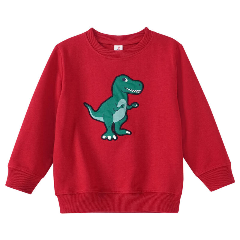 Jungen Sweatshirt mit Dino-Applikation (Nur online)