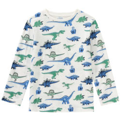 Jungen Langarmshirt mit Dino-Print