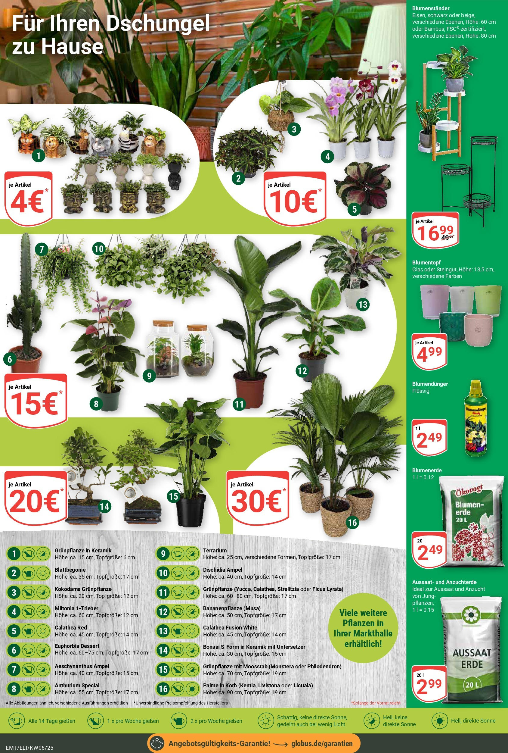 Globus - Mittelhausen, Erfurter Straße 7 (ab 03.02.2025) » Angebote online | Seite: 5 | Produkte: Korb, Blumentopf, Blumen, Blumenerde