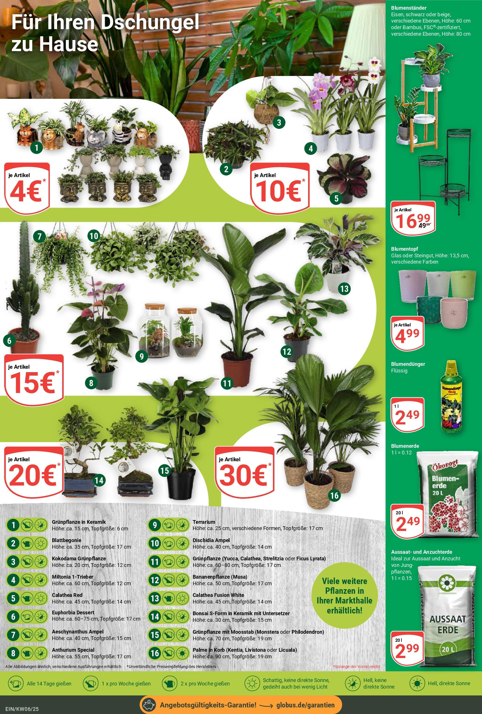 Globus - Homburg-Einöd, Neunmorgenstraße 8 (ab 03.02.2025) » Angebote online | Seite: 7 | Produkte: Korb, Blumentopf, Blumen, Blumenerde