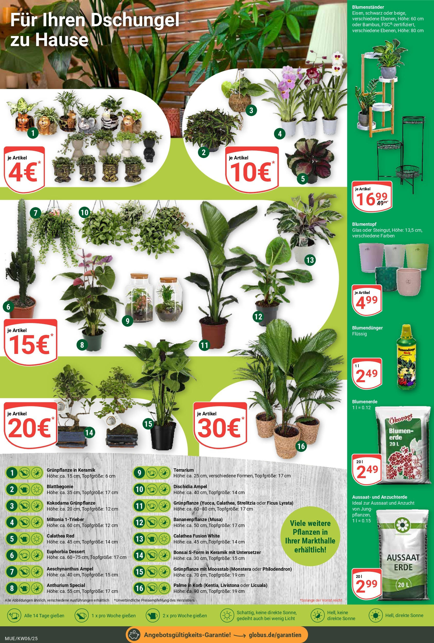 Globus - Mühldorf, Siemensstr. 18 (ab 03.02.2025) » Angebote online | Seite: 5 | Produkte: Korb, Blumentopf, Blumen, Blumenerde