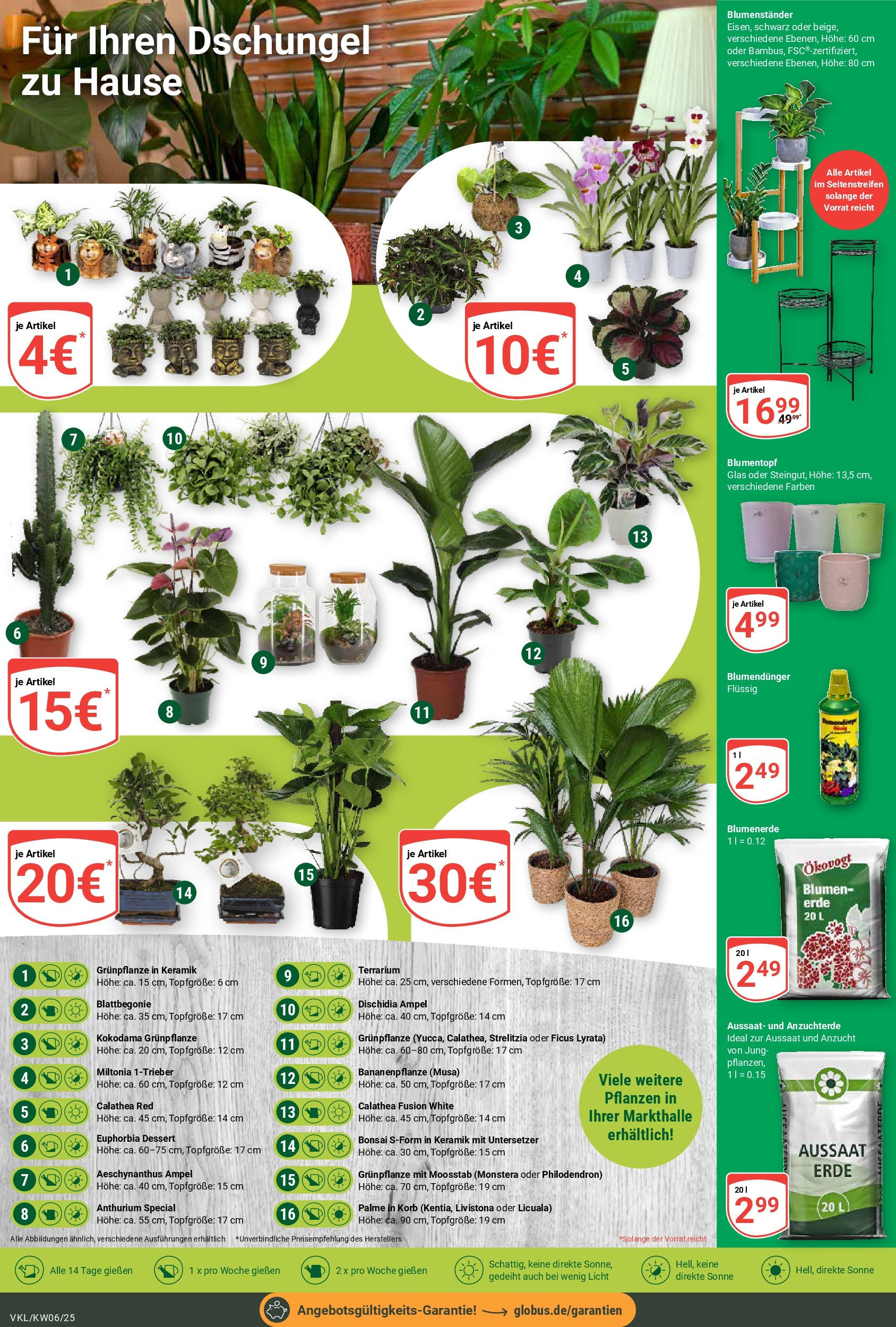 Globus - Völklingen, Rathausstraße 53 (ab 03.02.2025) » Angebote online | Seite: 8 | Produkte: Korb, Blumentopf, Blumen, Blumenerde