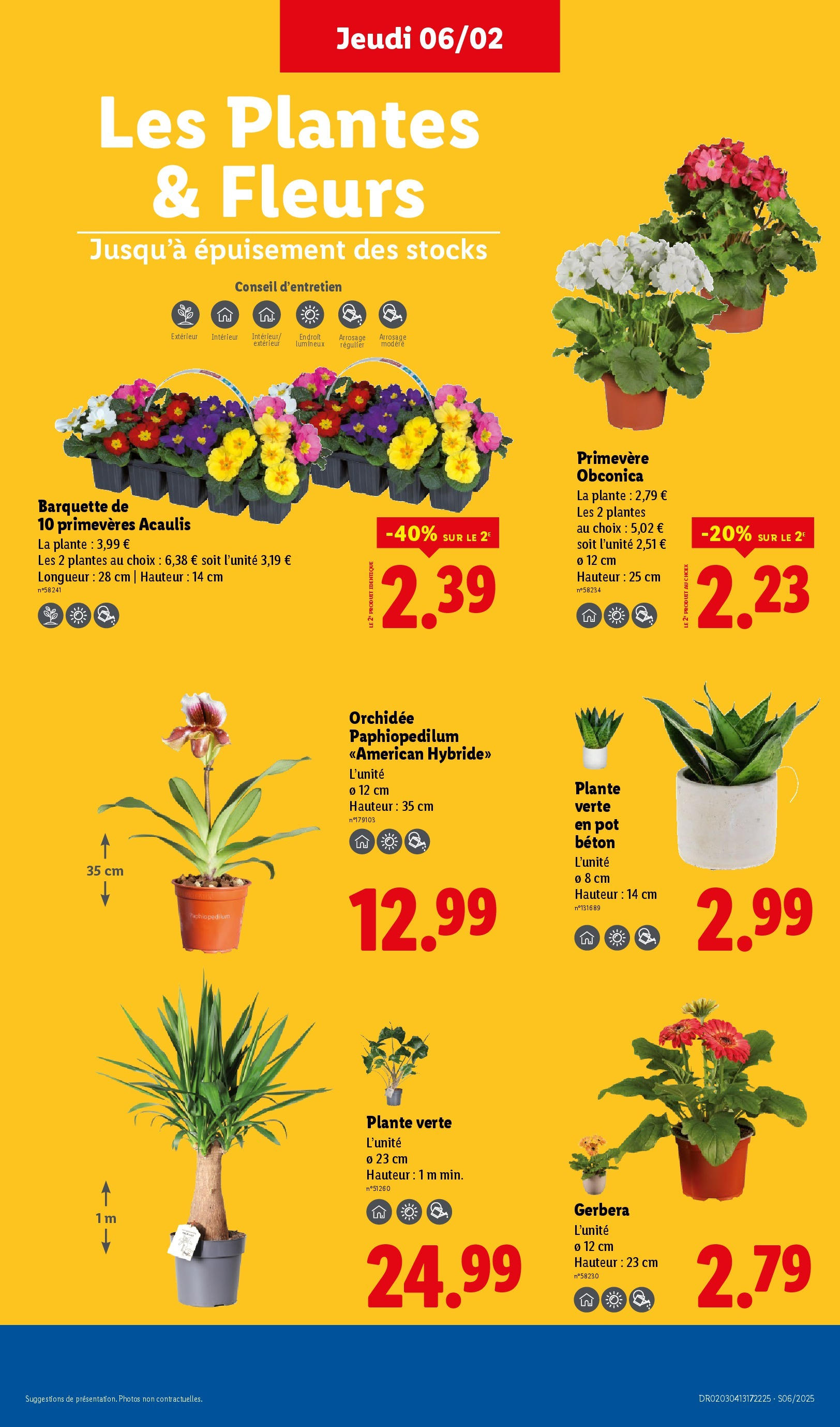 Catalogue LIDL du 05/02/2025 | Promo prospectus en ligne | Page: 35 | Produits: Plantes, Plante verte, Orchidée