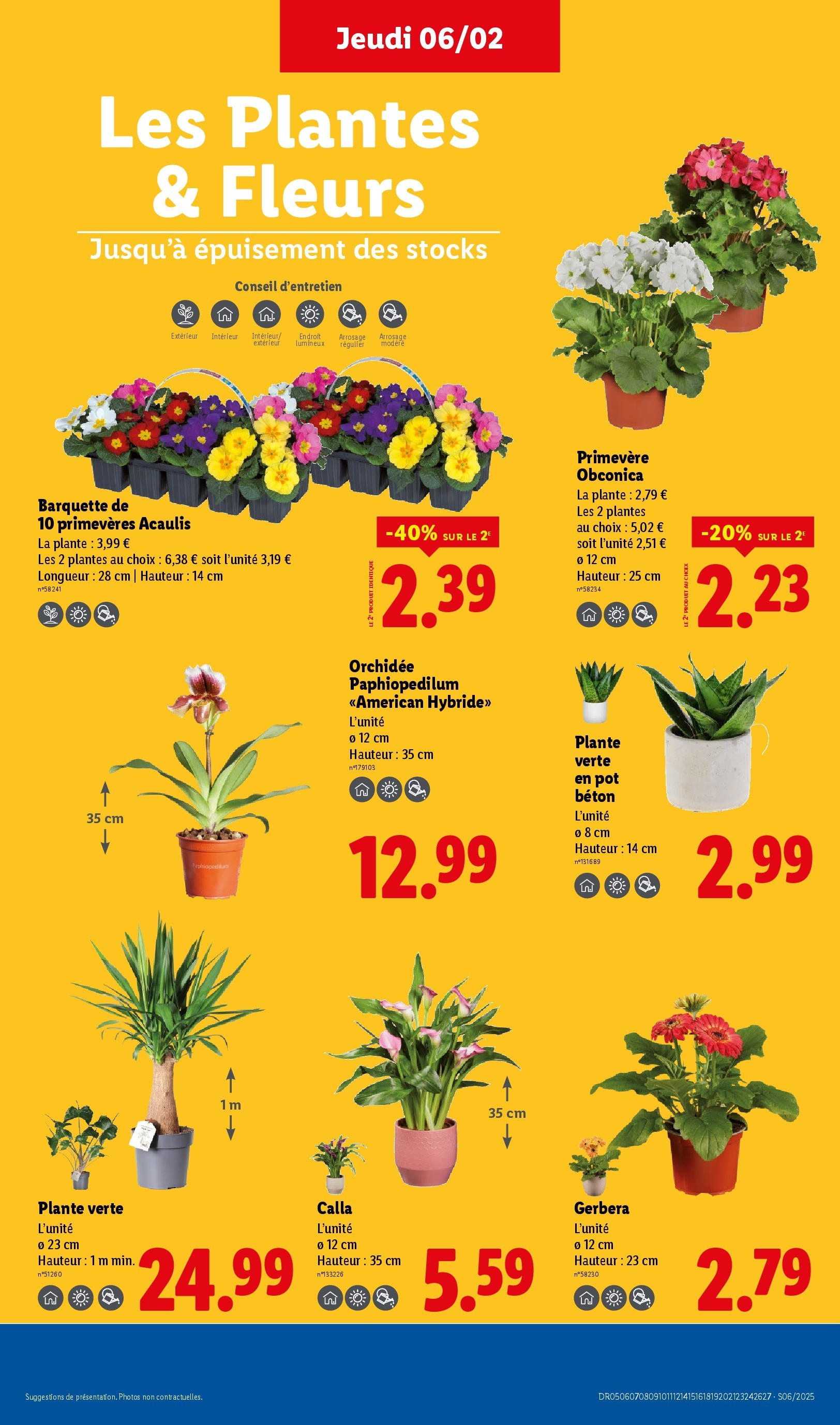 Catalogue LIDL du 05/02/2025 | Promo prospectus en ligne | Page: 35 | Produits: Plantes, Plante verte, Orchidée