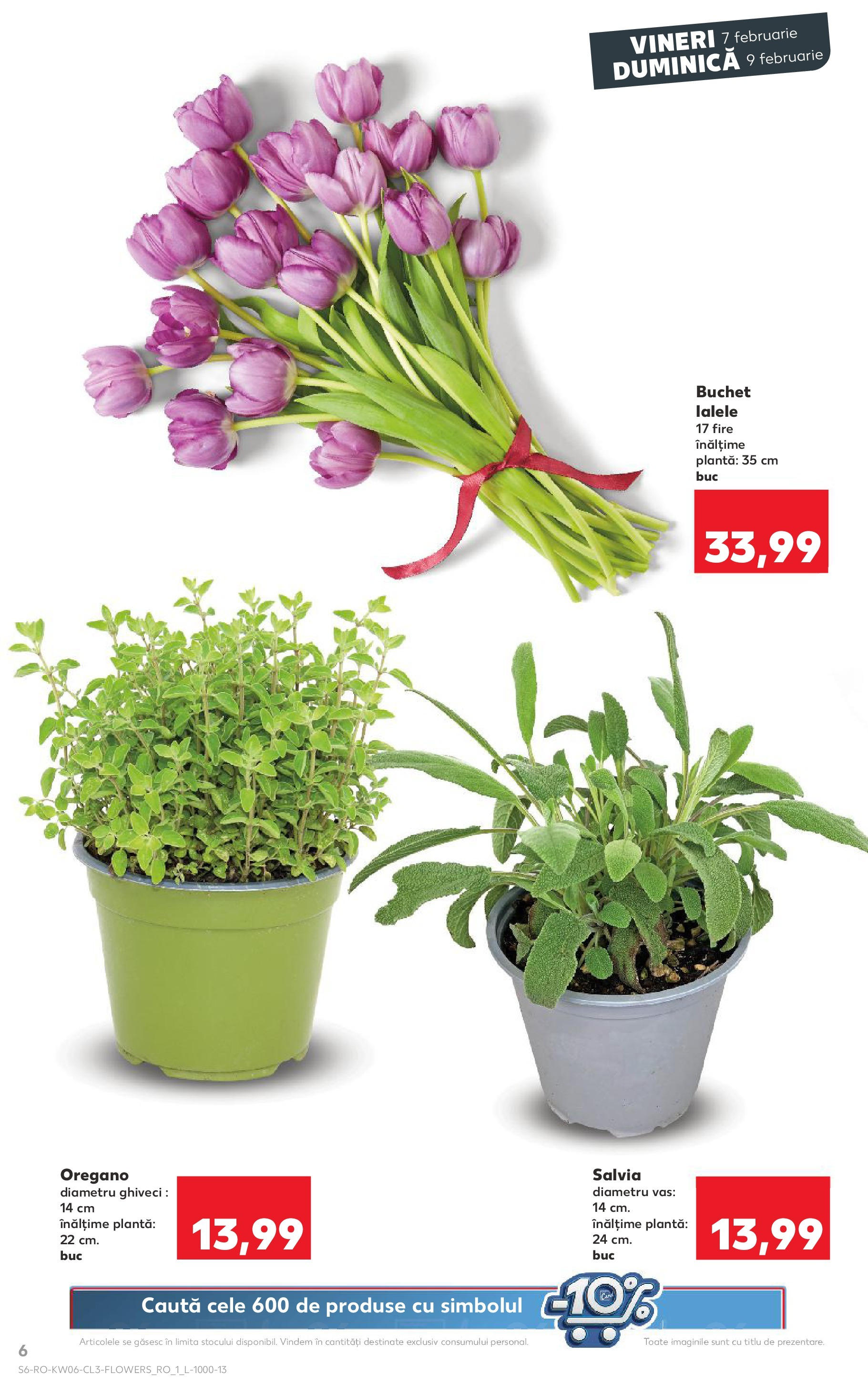 Catalog Kaufland - Bucureşti 07.02.2025 - Revista si Oferta | Pagină: 6 | Produse: Ghiveci