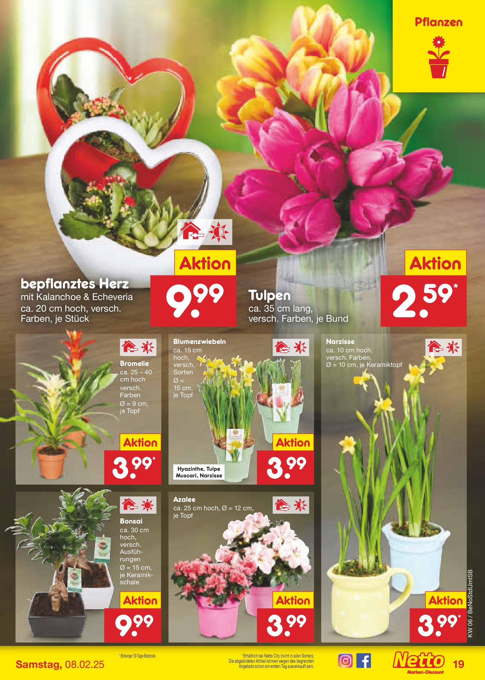 Netto Marken-Discount - Berlin, Corinthstraße 32 (ab 03.02.2025) » Angebote | Seite: 31