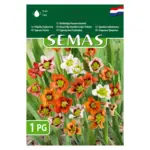 Kaufland хипермаркет Агросел Луковици за цветя - до 15-02-26