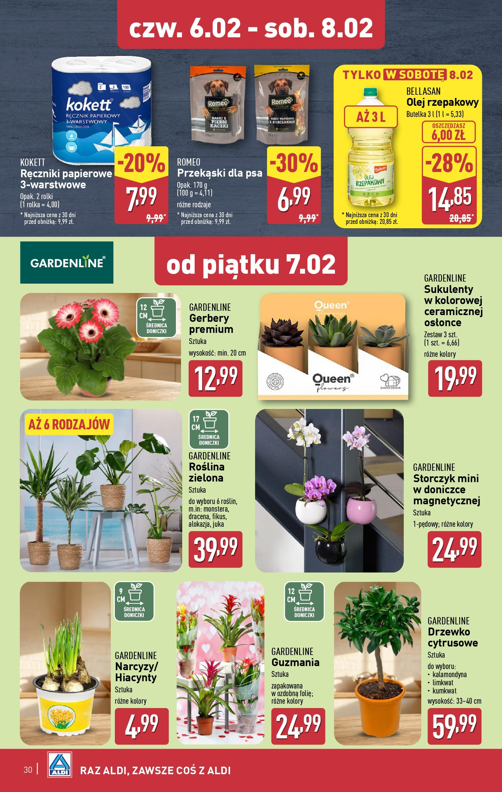 Aldi Gazetka od 01.02.2025 - Ulotka PDF, promocje | Strona: 30 | Produkty: Olej rzepakowy, Juka, Doniczki, Ręcznik papierowy