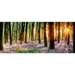 Möbelix Wandbild Veilchen Wald Multicolor 117x49 cm