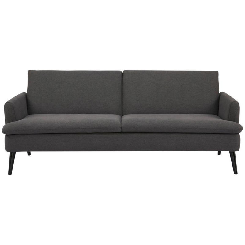 2-Sitzer-Sofa mit Schlaffunkt. Mina Grau