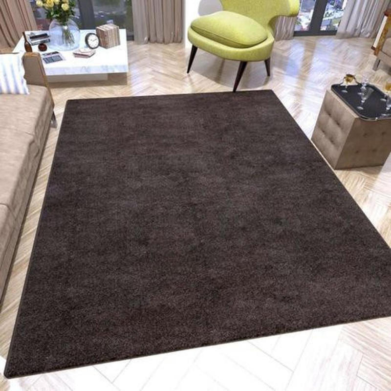 Hochflor Teppich Hellbraun Sienna 200x290 cm