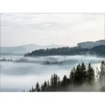 Möbelix Leinwandbild Wald Mit Nebel Naturmotiv Grau/blau 116x84 Cm