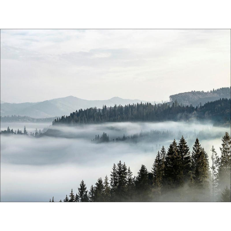 Leinwandbild Wald mit Nebel Naturmotiv Grau/Blau 116x84 cm